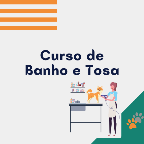 Imagem Destaque curso de Banho e Tosa online - Professor Samuel Castro